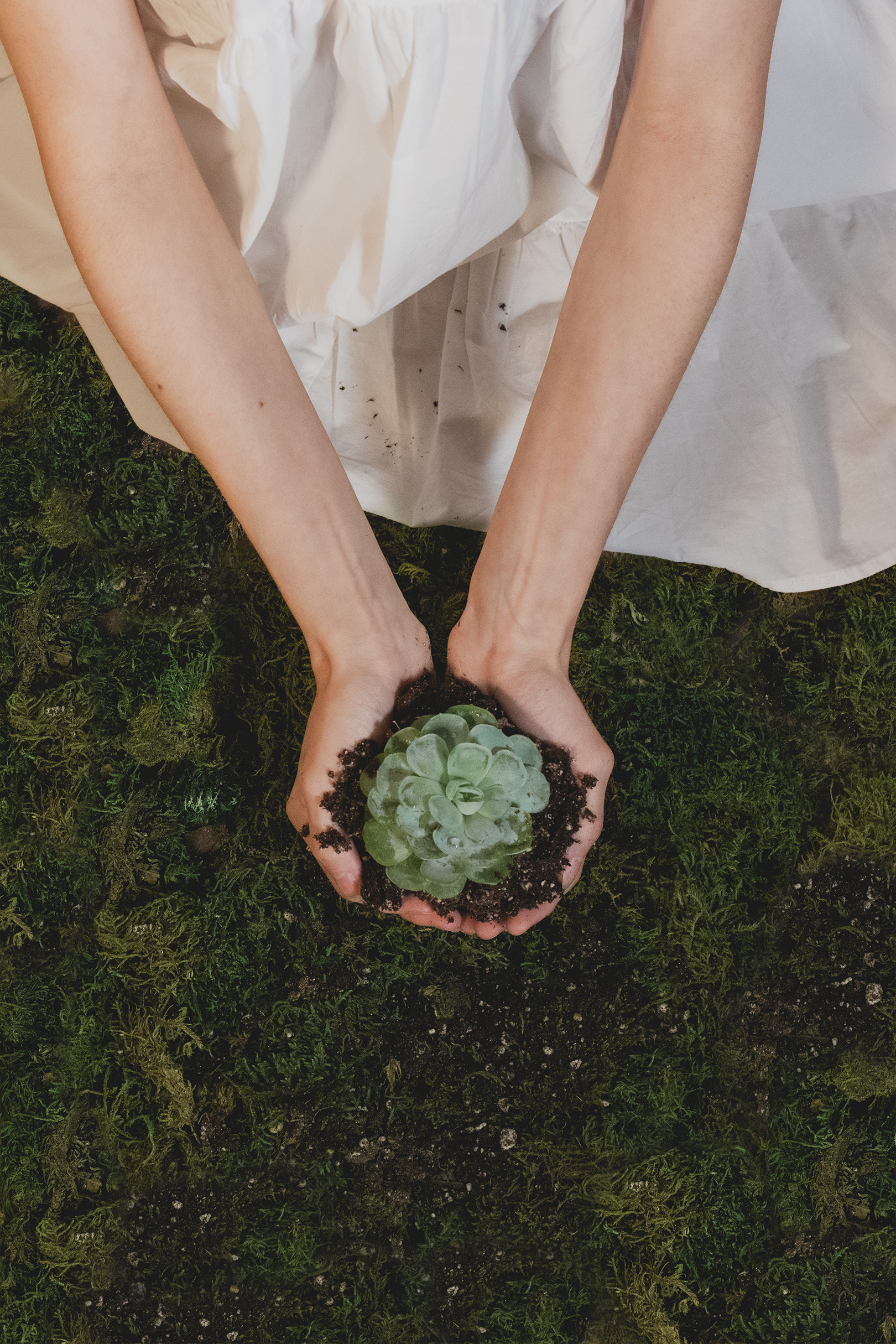 Woman Holding a Succulent Plant